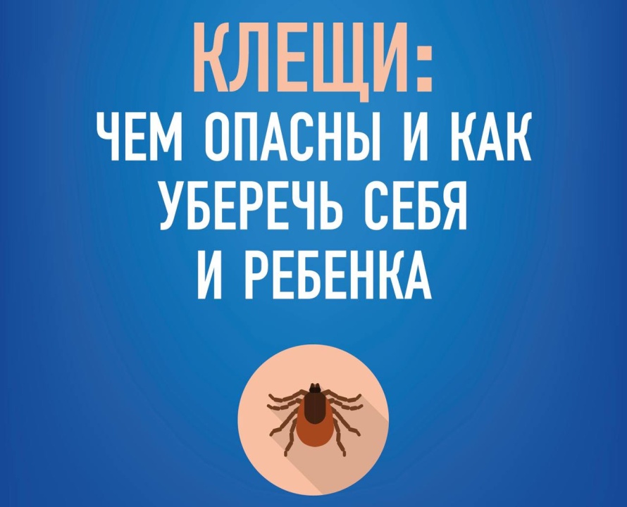 Клещи: чем опасны и как уберечь себя и ребенка