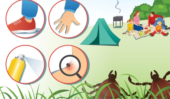 «Профилактика сезонных инфекционных заболеваний у детей»