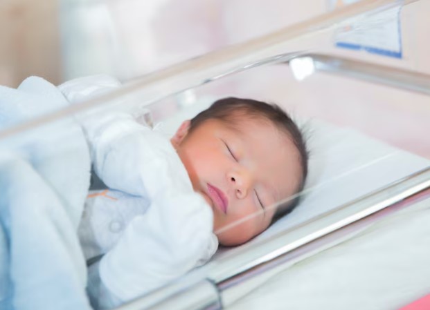 Вице-мэр Ракова поделилась статистикой рождаемости в Москве