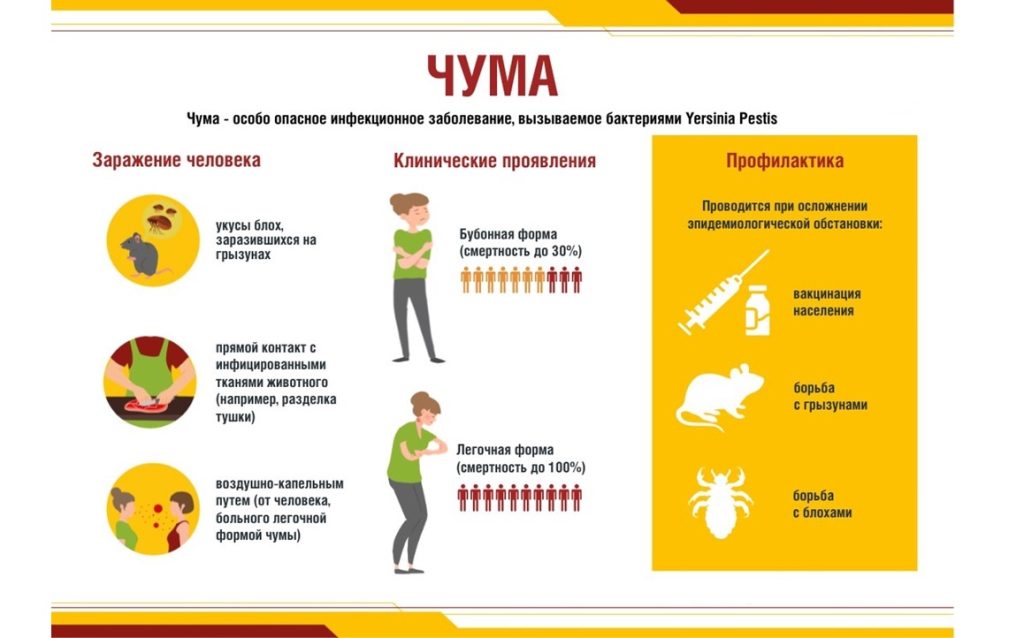 Важная информация о природно-очаговых инфекциях!