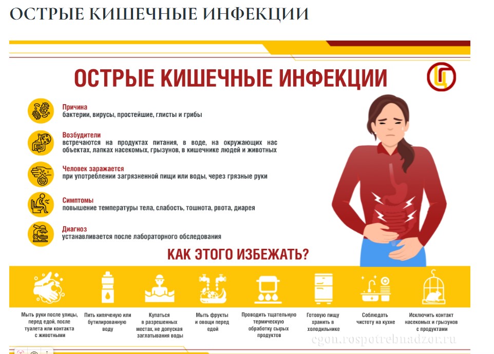 Меры профилактики острых кишечных инфекций и энтеровирусной инфекции